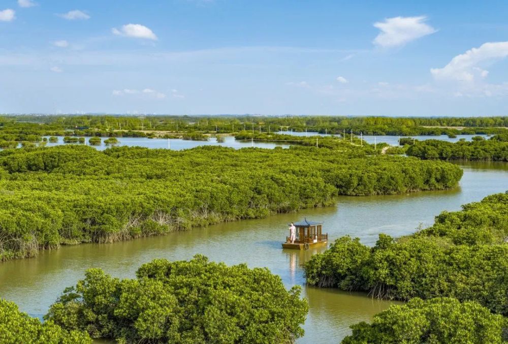 新华网带你一睹湛江原生态景观