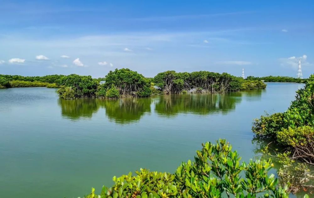 新华网带你一睹湛江原生态景观