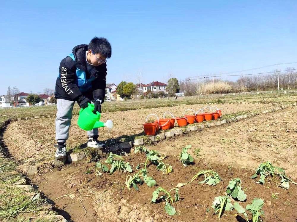 锄地、种苗、浇水……带孩子在田间体验春耕乐_腾讯新闻