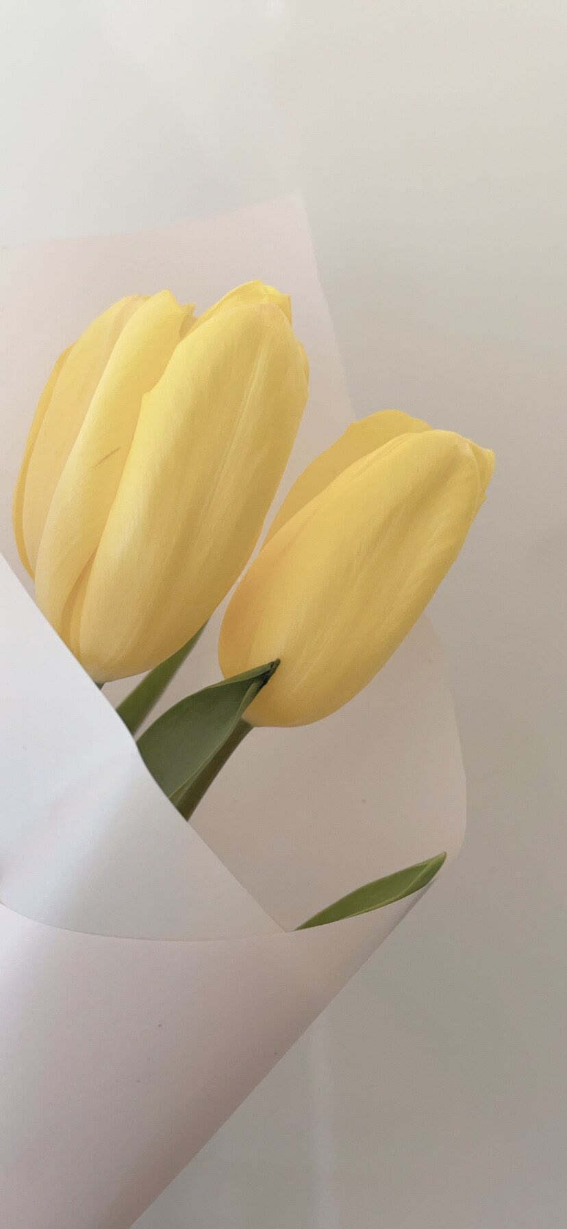 壁纸:高级感ins风手机全屏壁纸_腾讯新闻