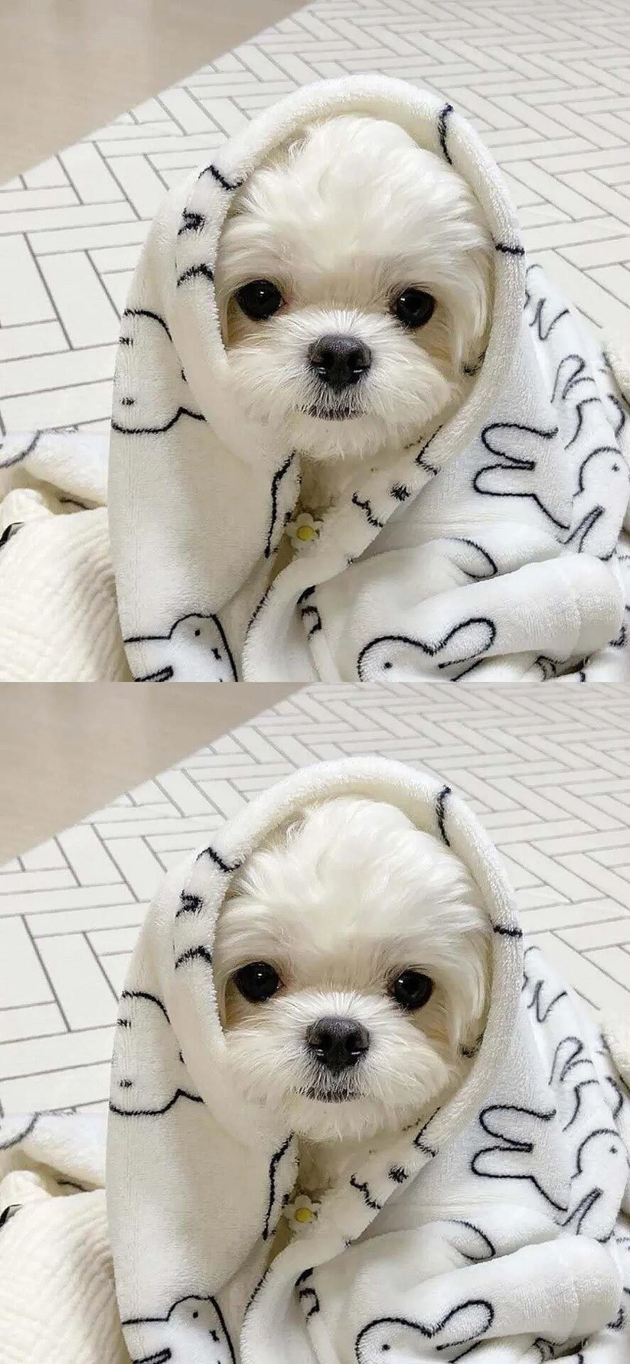 壁纸:高级感ins风手机全屏壁纸_腾讯新闻