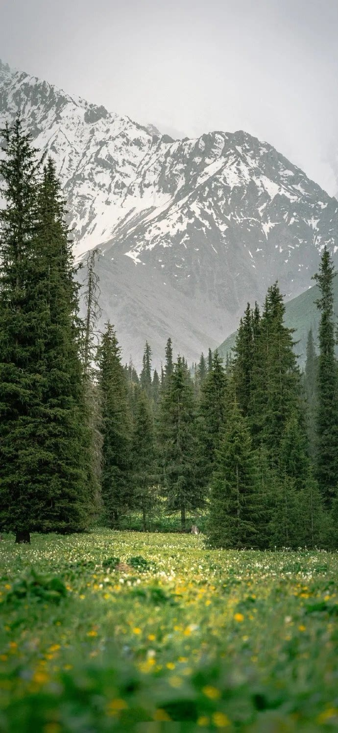 壁纸:高级感ins风手机全屏壁纸_腾讯新闻