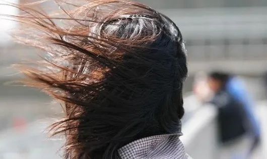 "捂了嚎风"一个东北成语的含义辽宁的小伙伴都深深体会了昨天