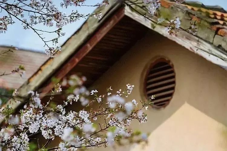 越早知道越好（野旷天低树 江清月近人）野旷天低树江清月近人的意思 第7张