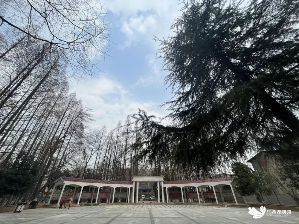 走马岭这地儿变样了!预计本月对外开放!_腾讯新闻