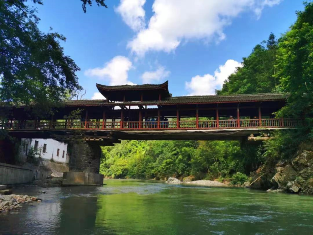 粤桂协作山海情南山龙胜资源三地协作联席会议召开