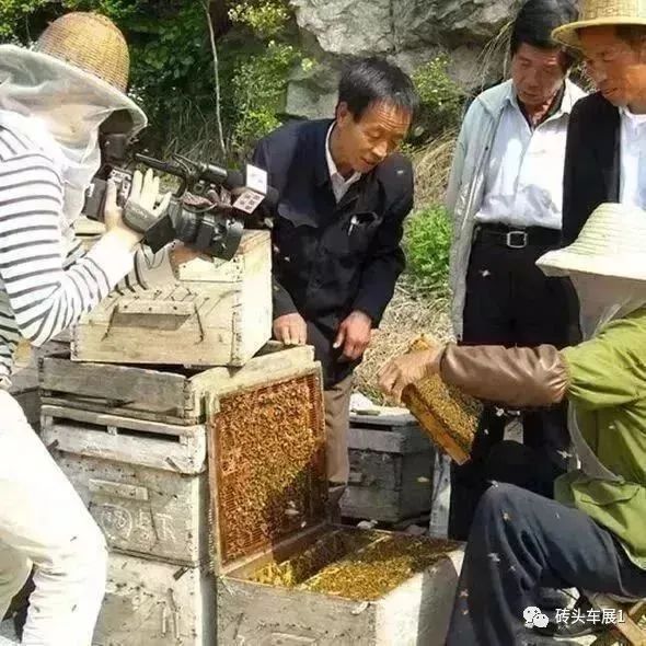 怎么可以错过（柔情似水佳期如梦）唯美浪漫的爱情古诗词五字 第18张