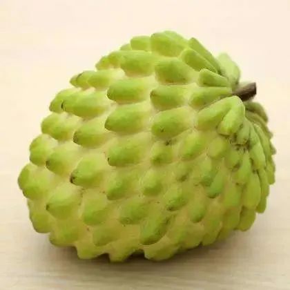 网红佛系释迦果,呆萌可爱的外形,冰淇淋般口感_腾讯新闻