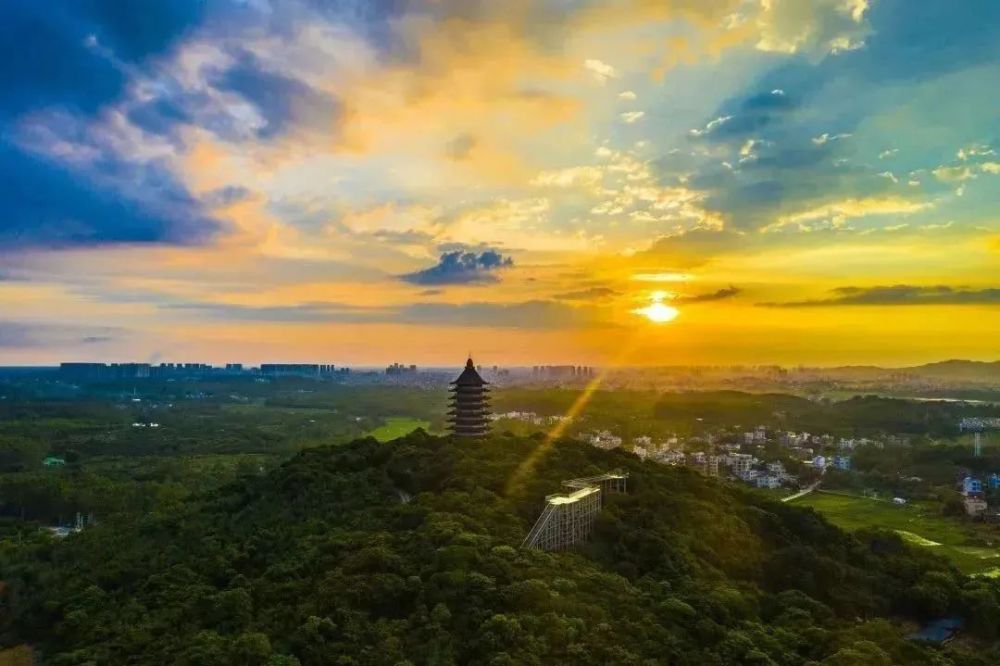 春已至花已开廉江这条国家级乡村旅游精品线路等你来