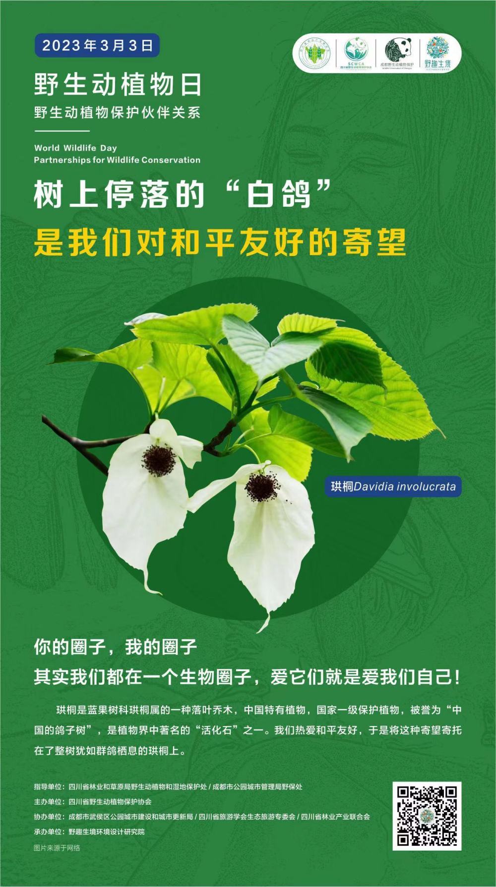 以专题海报宣传为主体,希望引发大众对野生动植物保护的关注与思考