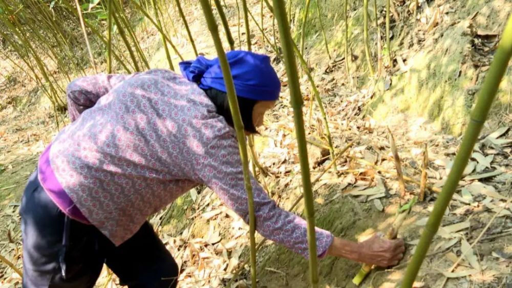 范元琰为人文言文翻译_范元琰为人文言文注释_范元琰为人善良