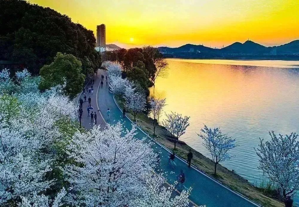 浙江网红旅游推荐资讯大全(浙江网红旅游推荐资讯大全下载)