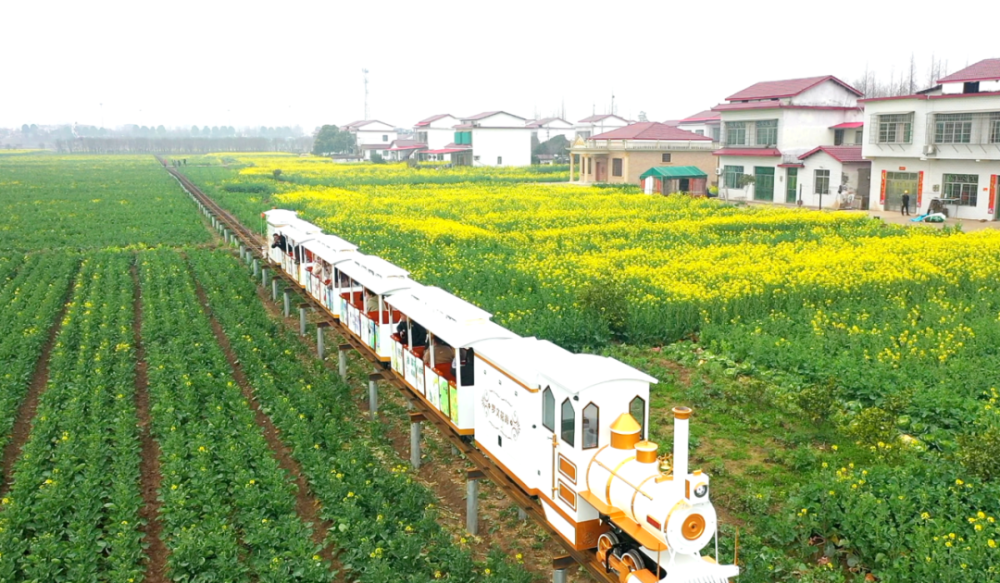 就在9日,南县10万亩油菜花海,静待你来赏