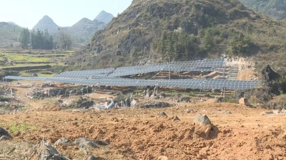 在广南县黑支果乡农光互补光伏发电项目施工现场,工人们正忙着倒运