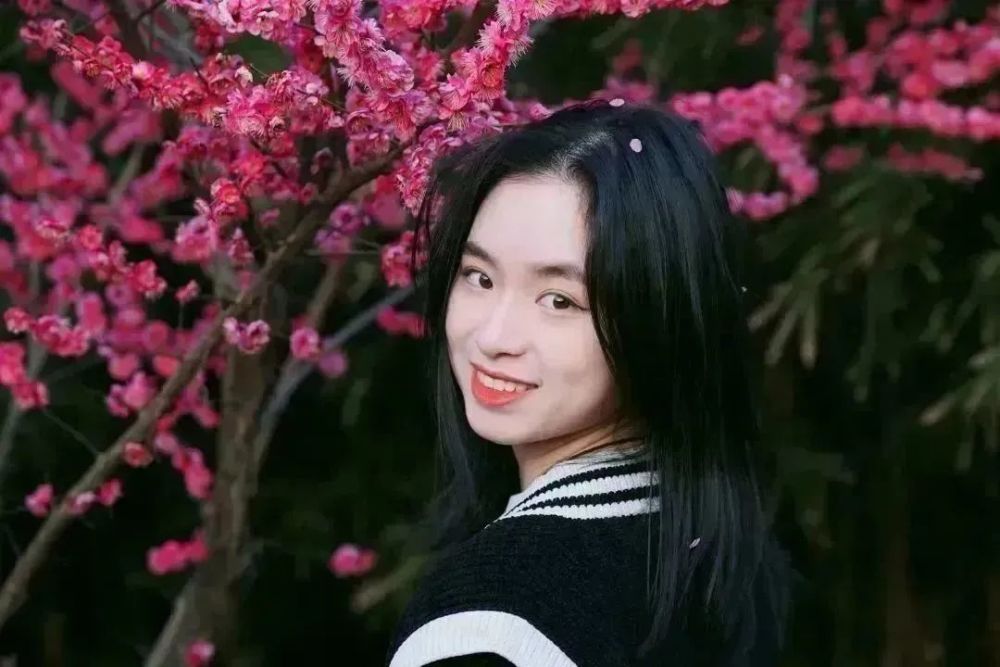 校园渐觉春光好俏梅枝头春意闹