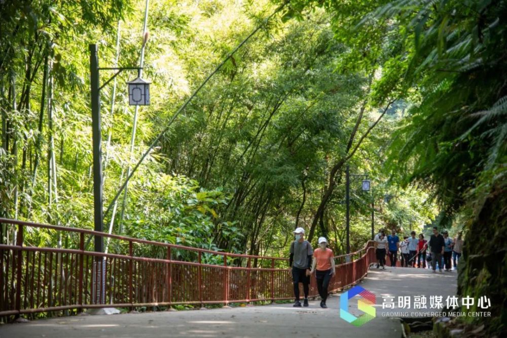 高明区皂幕山图片