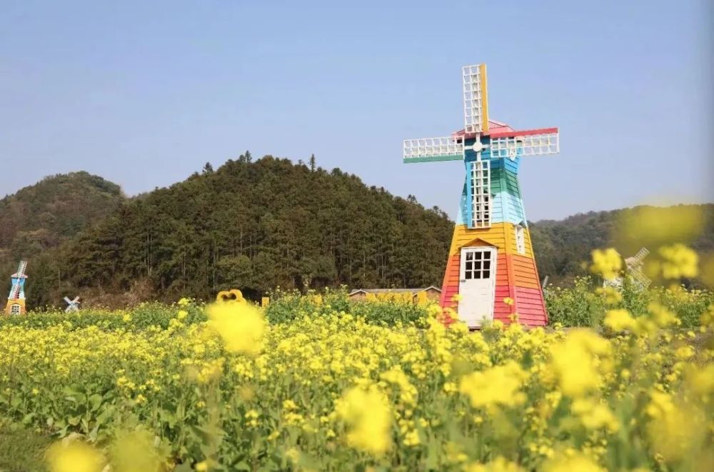 新余下保村花海门票图片