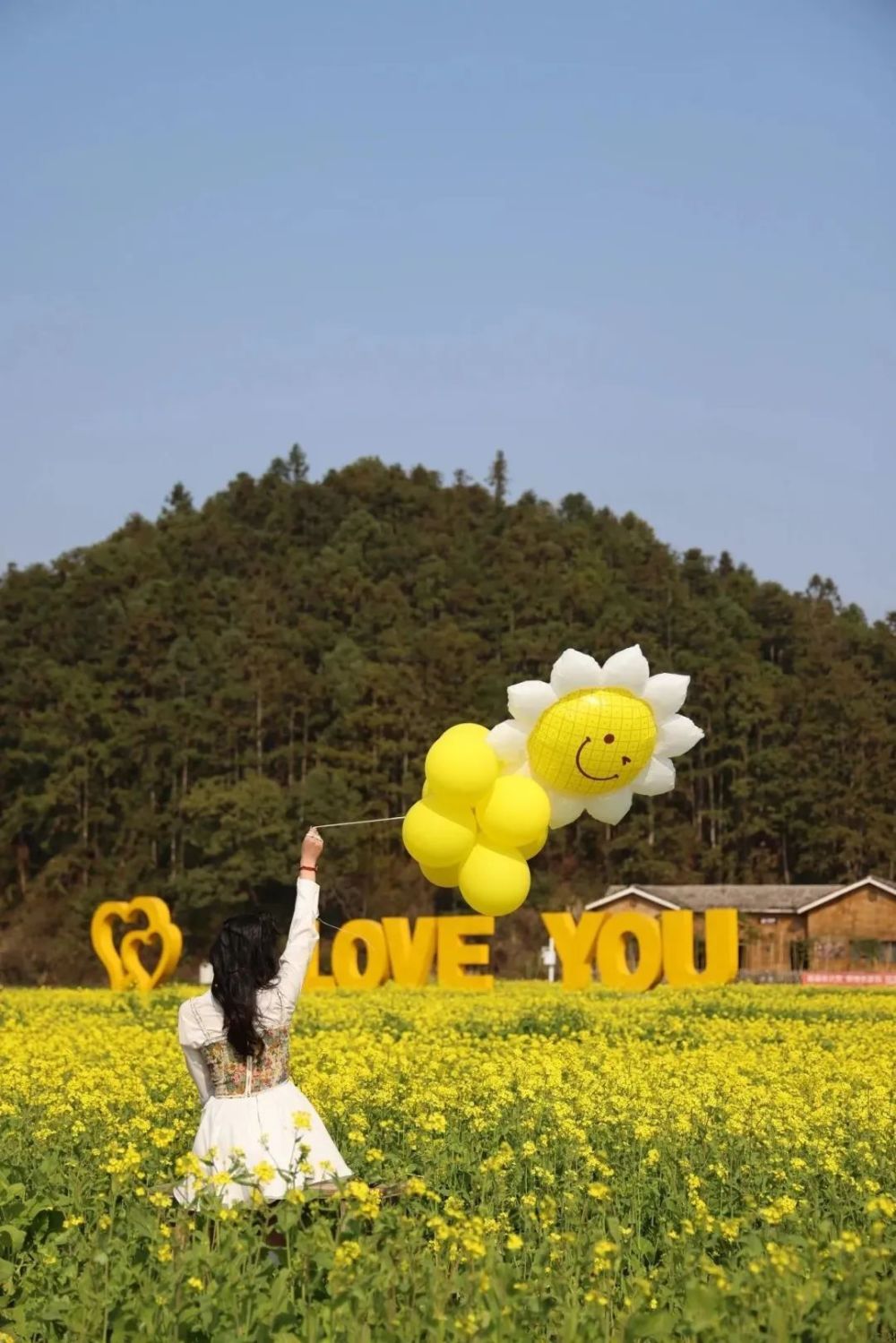 新余下保村花海门票图片