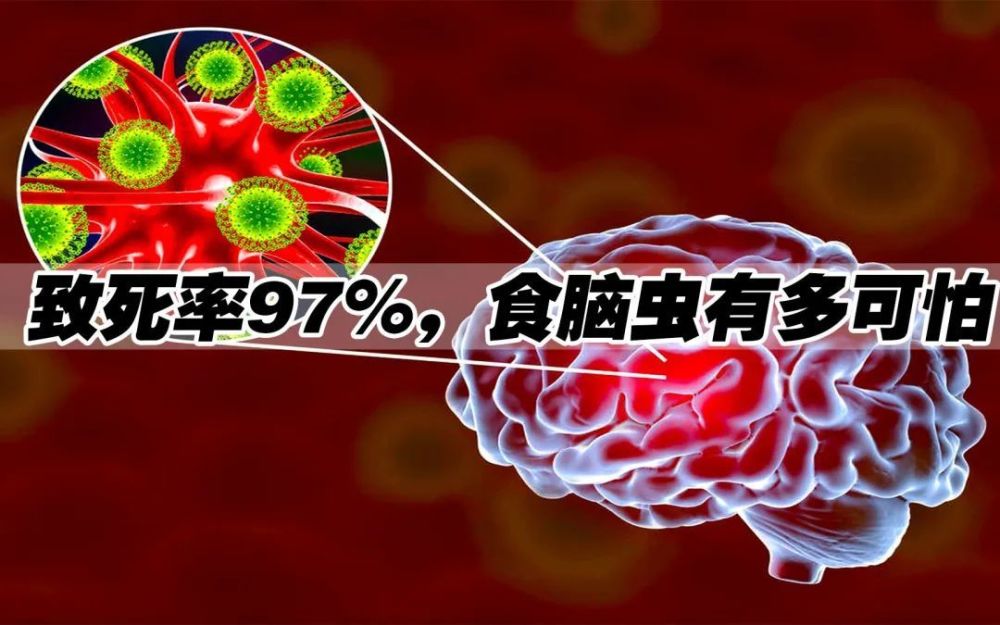洗个脸导致食脑虫死亡美驻华大使馆的自来水直饮神话彻底灭了