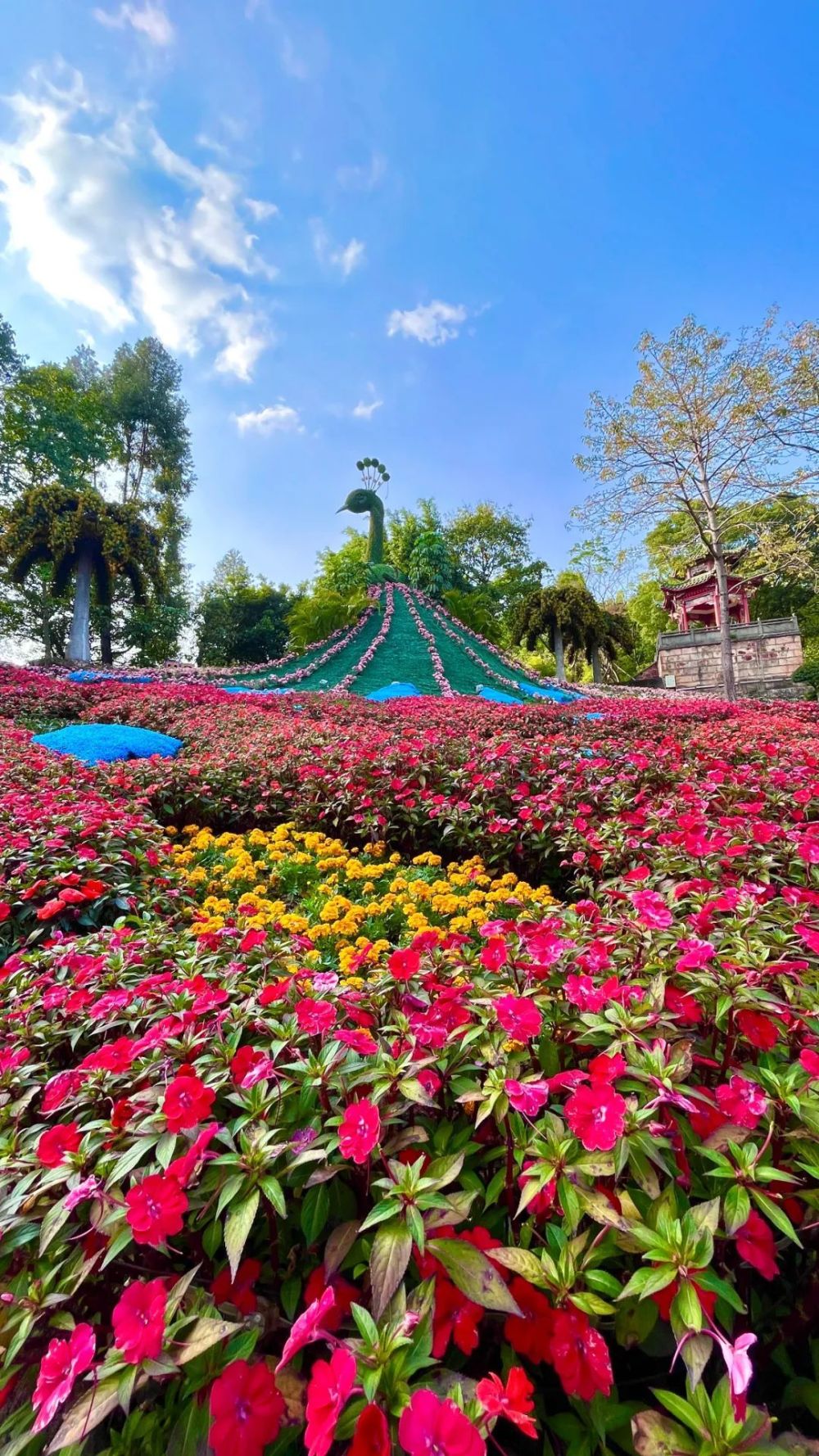 周末去哪儿3东莞隐贤山庄老少皆宜的休闲游玩好去处