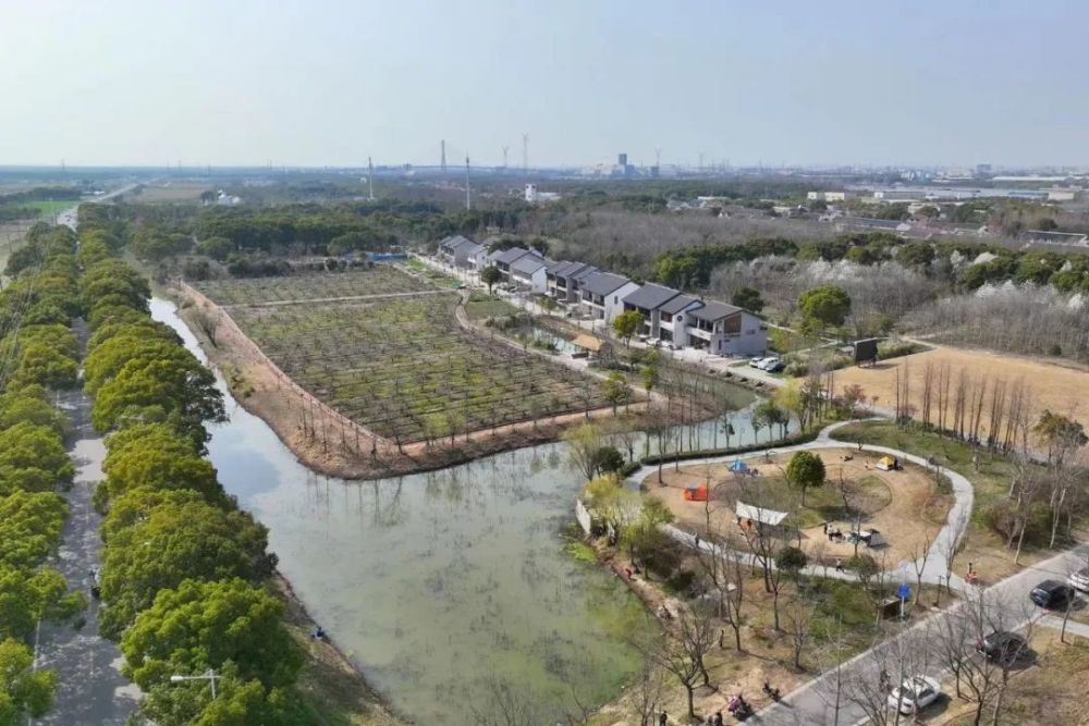 庄行农艺公园初露芳姿,踏青寻春游客多_腾讯新闻