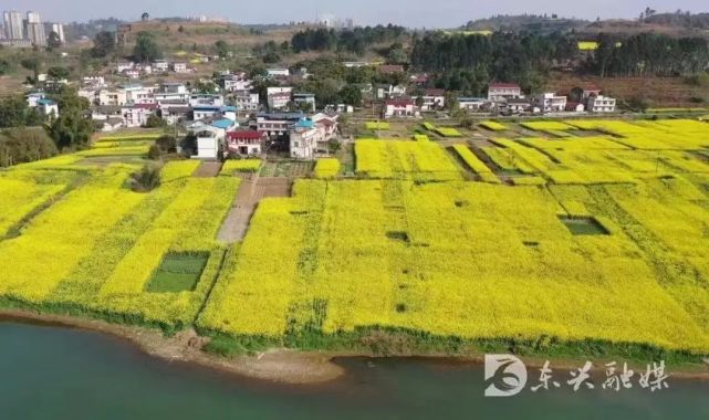 椑木镇:践行雷锋精神,美化人居环境