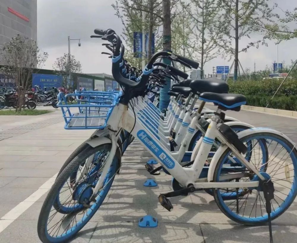 奉贤60岁以上老年人你们出行选择哪种交通工具