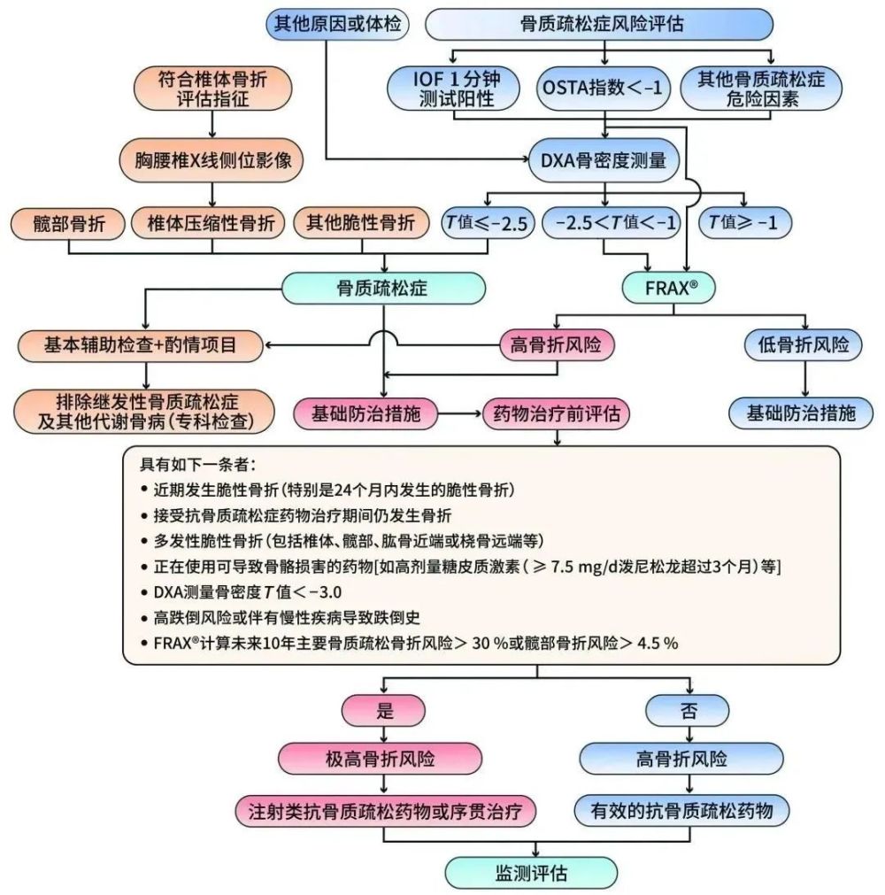 《原发性骨质疏松症诊疗指南(2022)》重磅发布!