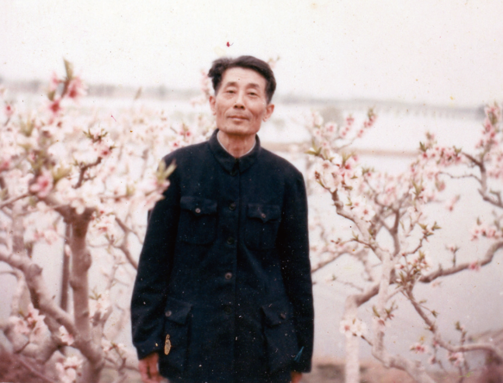 周祖谟:汉字的产生和发展丨《问学集》