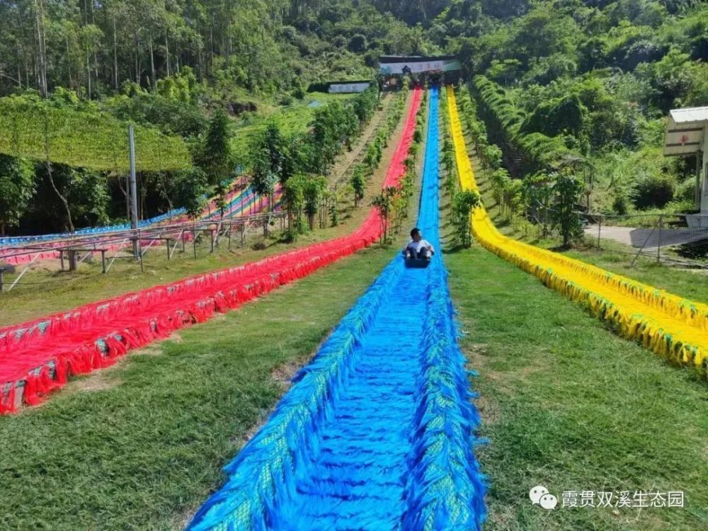 漳州金鸡山滑草图片