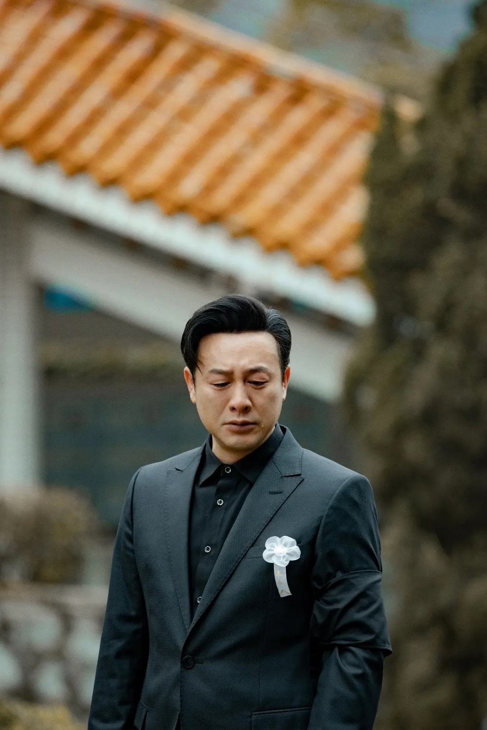 "高启强"竞对红树林情有独钟?_腾讯新闻