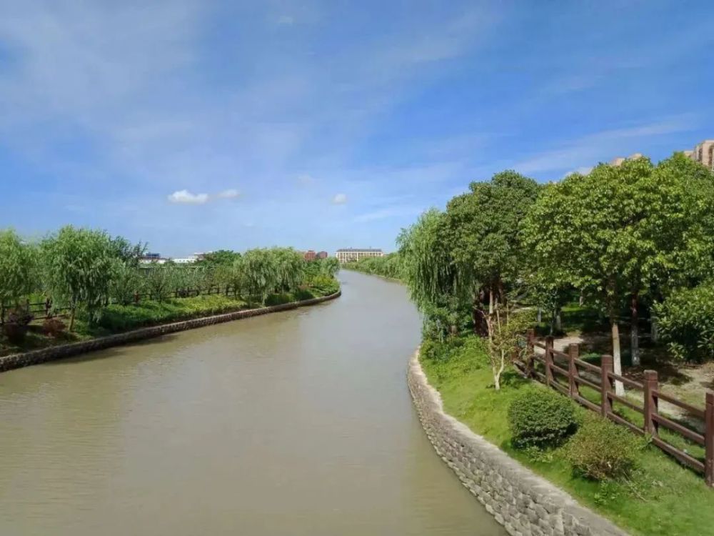 云赏河湖|水清景美,锦绣浦东——曹路长浜_腾讯新闻