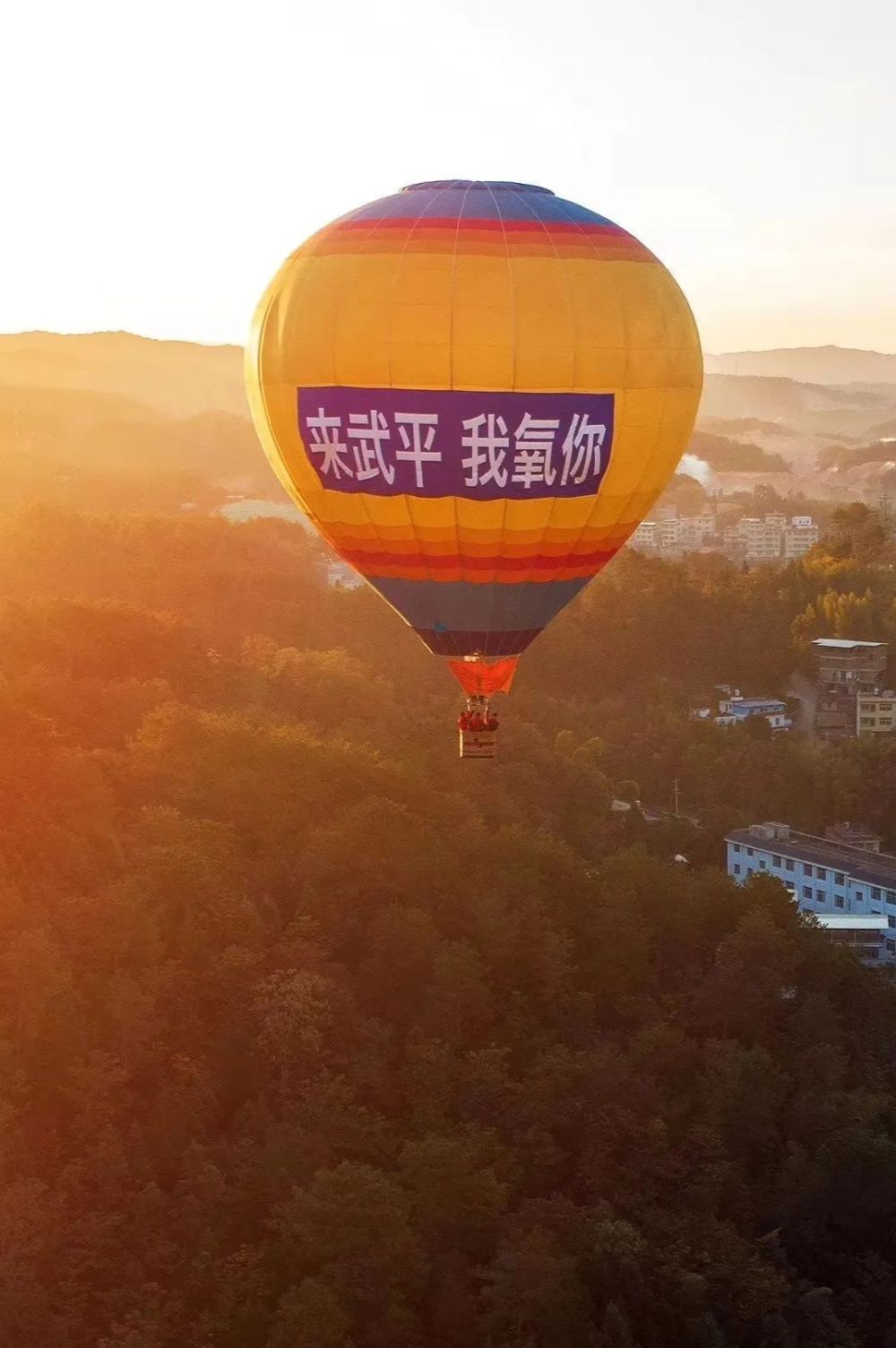 集氧计划丨乐武平专属团建行程定制