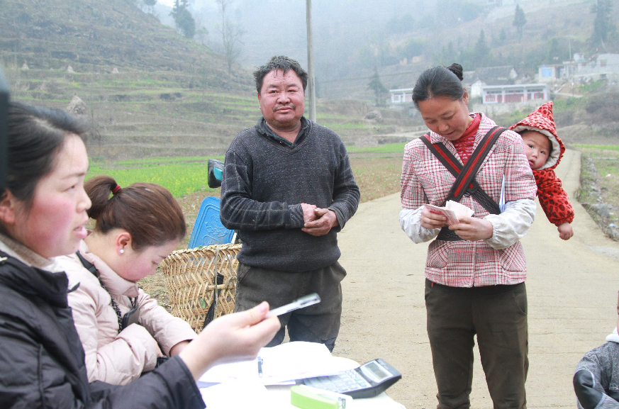 大方县马场镇春耕备耕时土地流转忙
