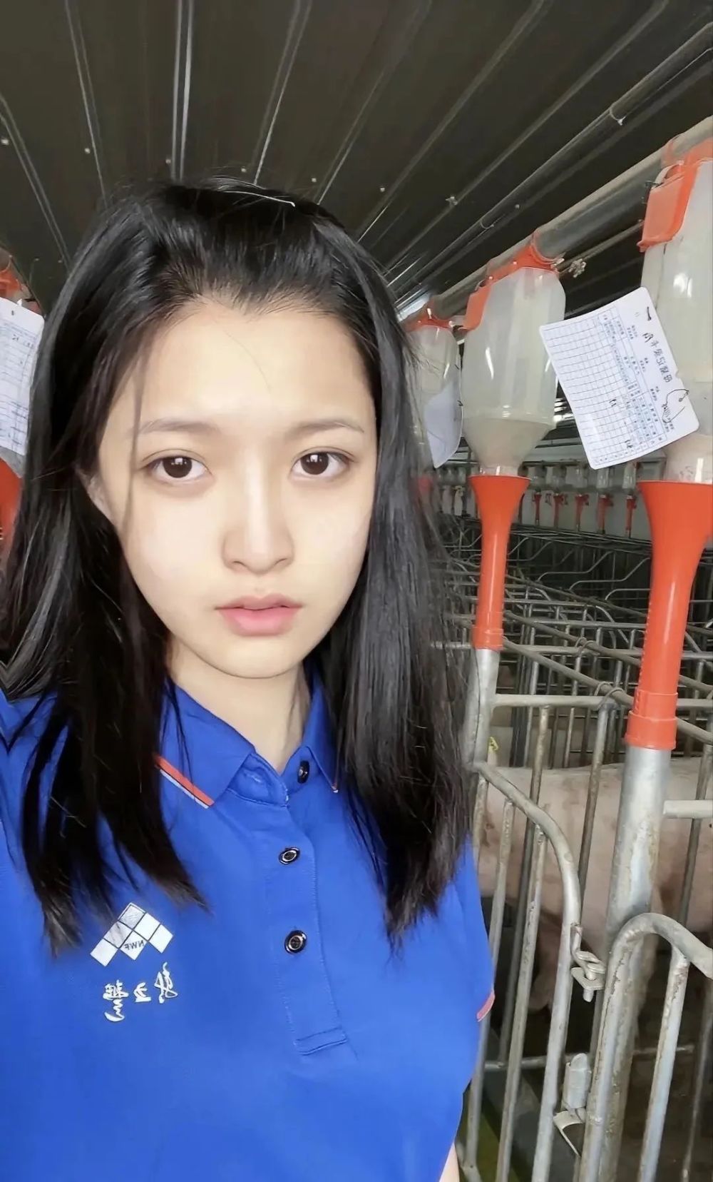 年薪10万,24岁高颜值大学生毕业养猪,"安猪拉baby"火了!_腾讯新闻