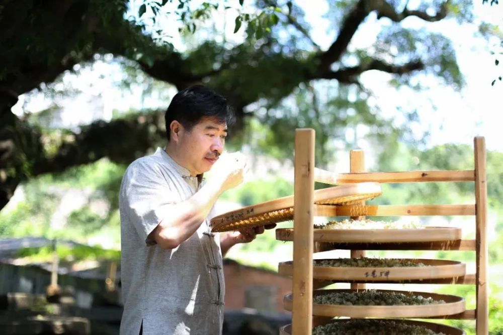 风云闽商|春伦集团董事长傅天龙荣获"2022年度行业影响力人物"_腾讯