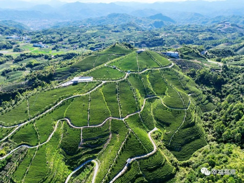 春来了一起探访贯岭镇松洋村