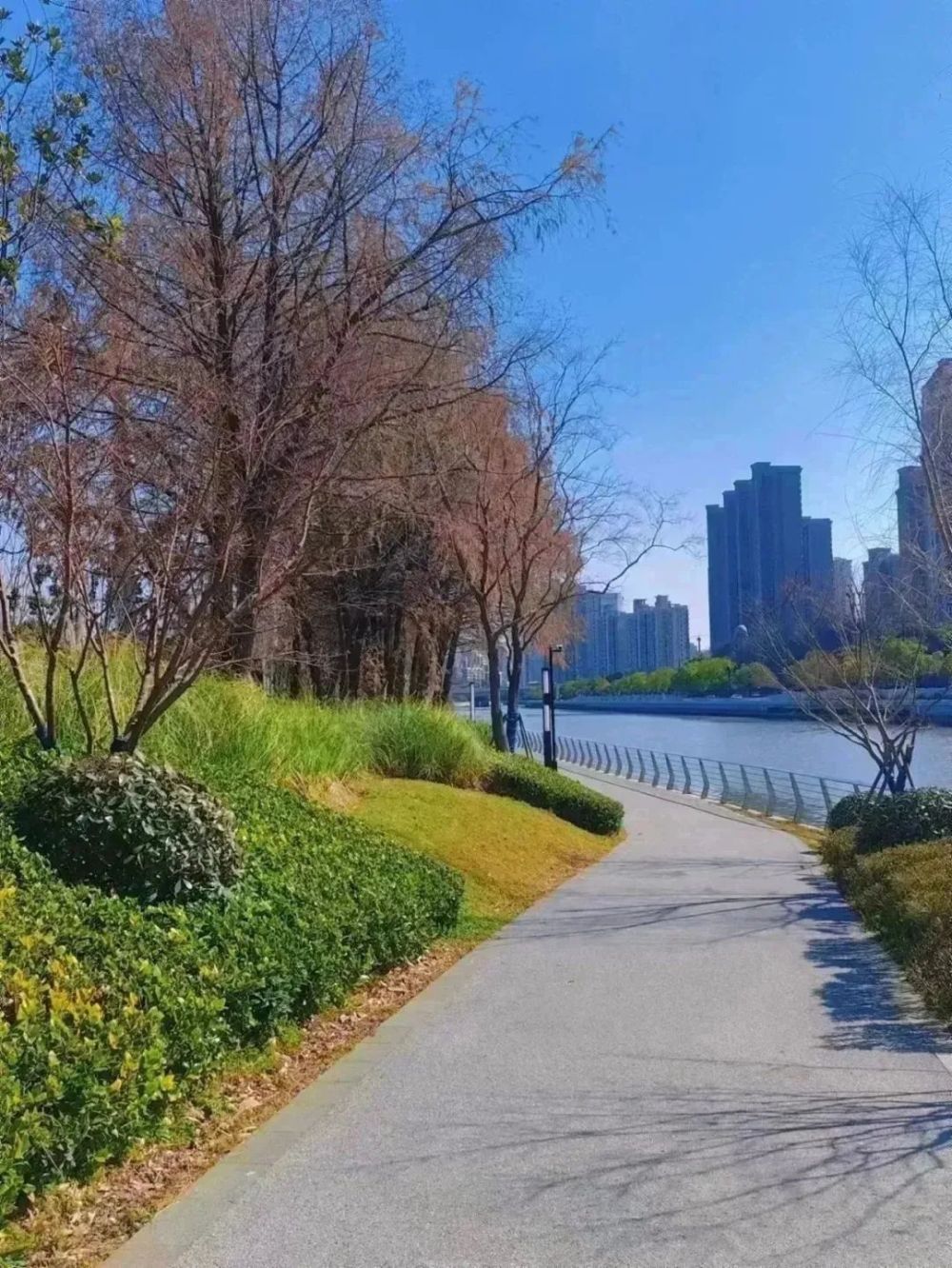 【半马苏河61春之新篇】半马苏河公园惊喜连连!