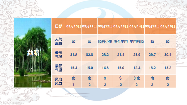 西双版纳天气15天查询图片