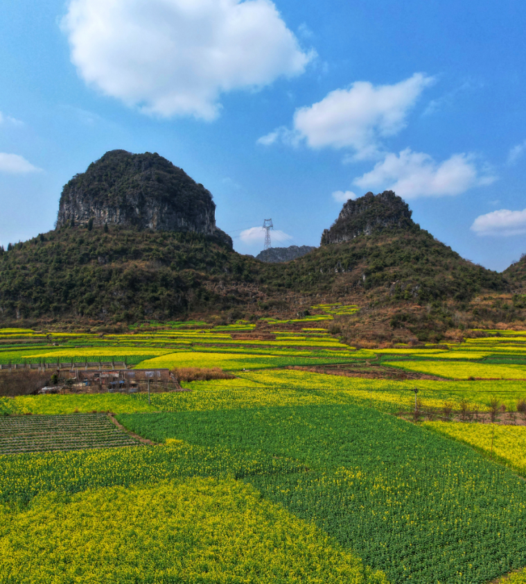 贵阳市周边油菜花景点图片