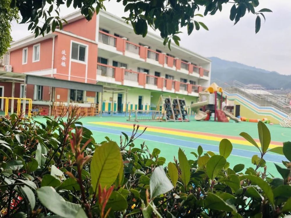 ▼青田縣華僑幼兒園▼青田縣機關幼兒園▼青田縣油竹幼兒園▼雲和縣