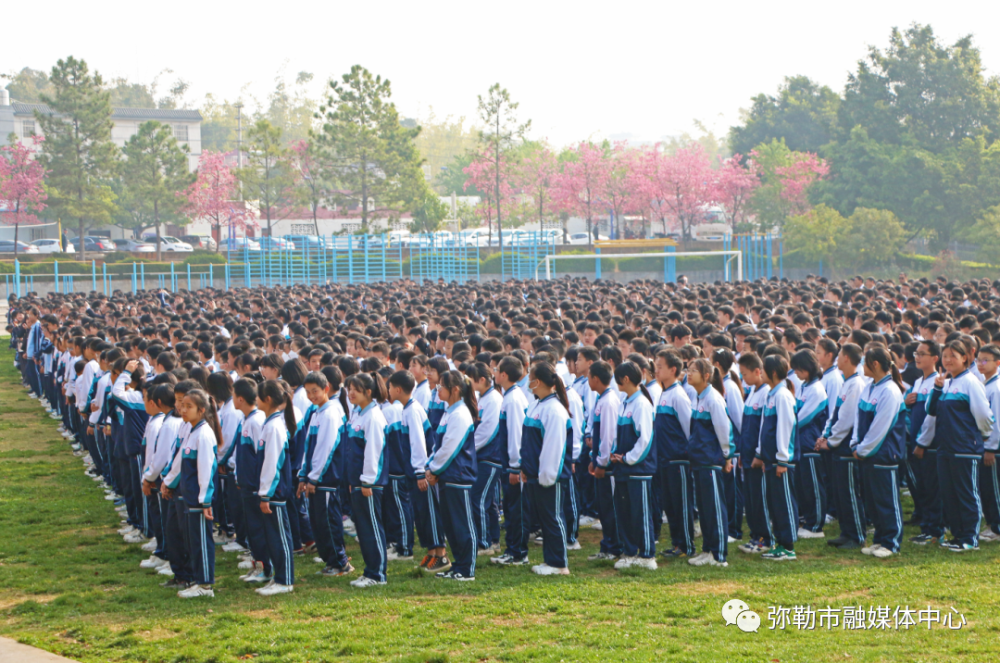学校西二镇西洱小学西一镇中心学校东山镇中小学校巡检司镇中小学校虹