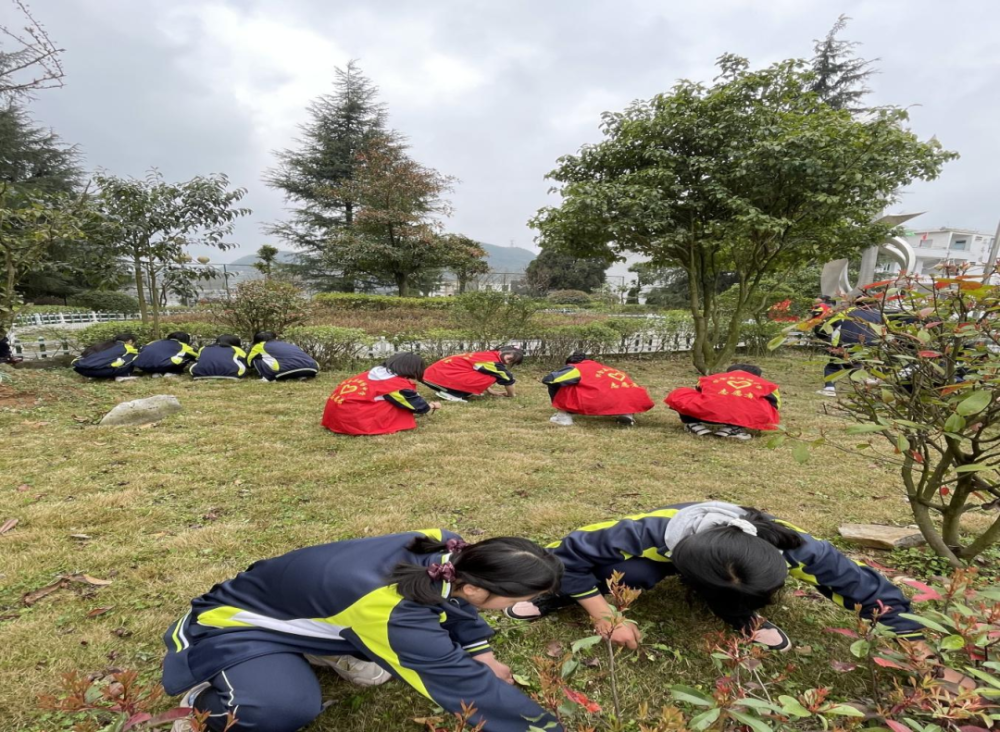 织金县猫场镇:开展"学雷锋,树新风"主题 校园宣传活动