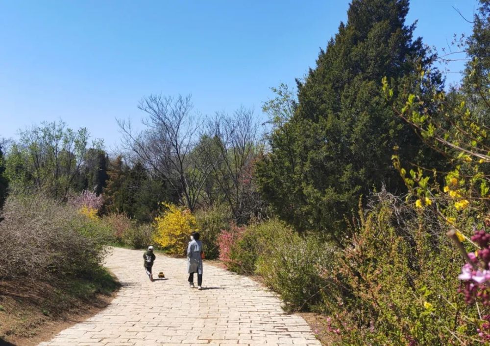 大連景點丨炮臺山公園_騰訊新聞