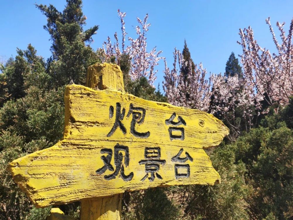 大连景点丨炮台山公园