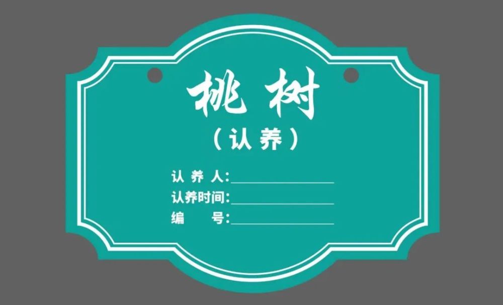 万峰林瓮本村春晓桃树认养计划一颗属于自己的果树