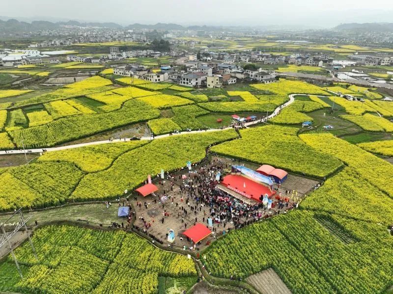 【奋进的春天】相约在春天纯享花的盛宴 2023年黄平县旧州镇"金海银山