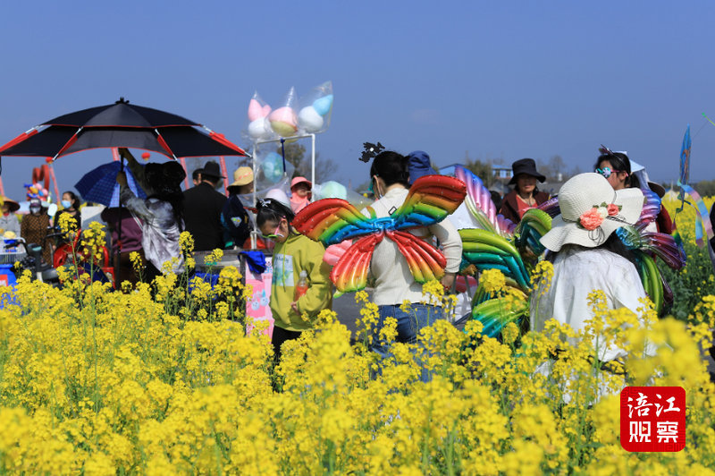 安州区秀水镇油菜花图片