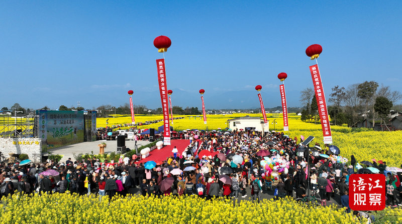 安州区秀水镇油菜花图片