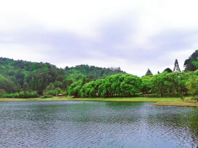 云龙县大浪坝风景区图片